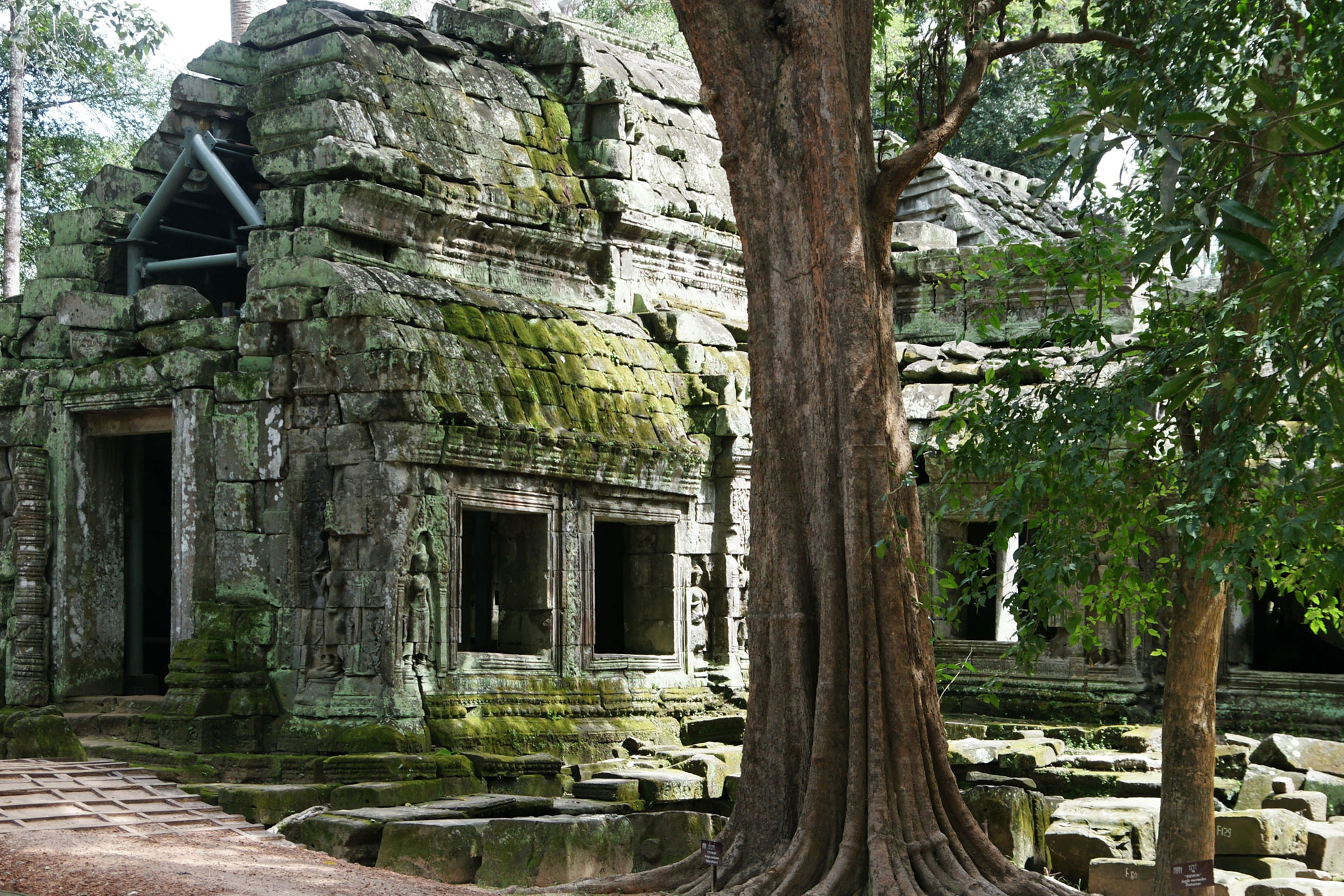 Ta Prohm ("königliches Kloster") ist ein zwischen dem späten 12. und frühen 13. Jahrhundert erbauter Tempel. Der Ta Prohm wurde während der Herrschaft des letzten großen Königs des Khmer-Reiches  erbaut, einem Anhänger des Mahayana-Buddhismus.
